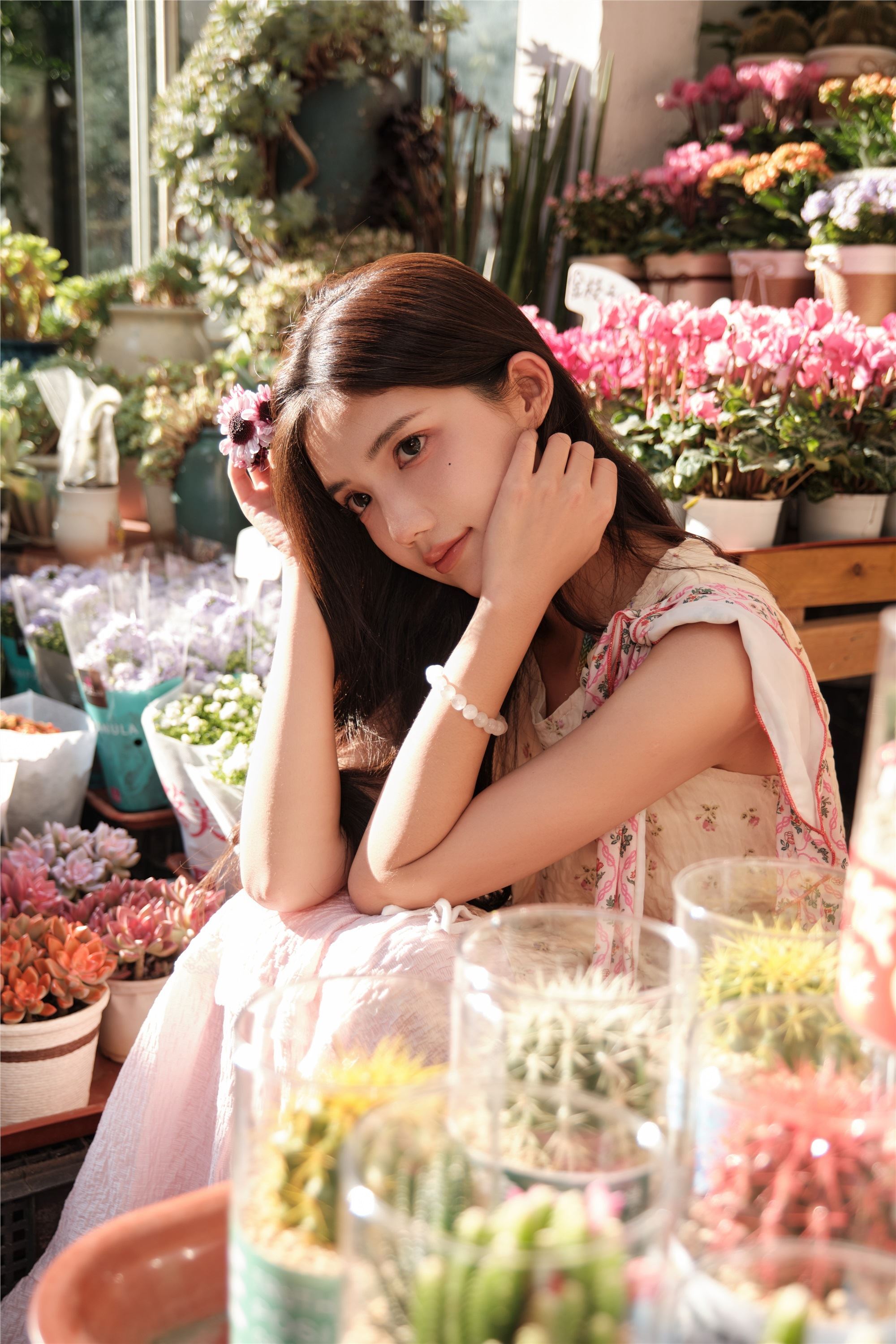 YITUYU艺图语 2025.01.12 花期正好 多米Domy